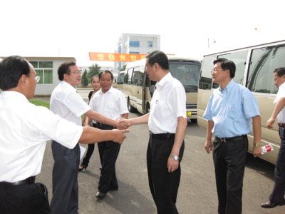 我国新能源将力拓国内市场破困局